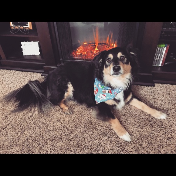 Meet your seller! - Picture 4 of 4